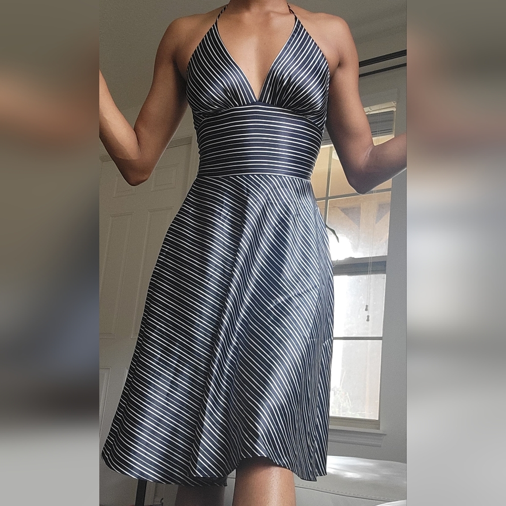 AlynPaige Gorgeous Dress